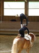 voltitag 2009 _CD1 148